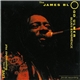 The James Blood Ulmer Blues Experience - Live At The Bayerischer Hof